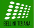 Bellini Tiziana S.r.l.